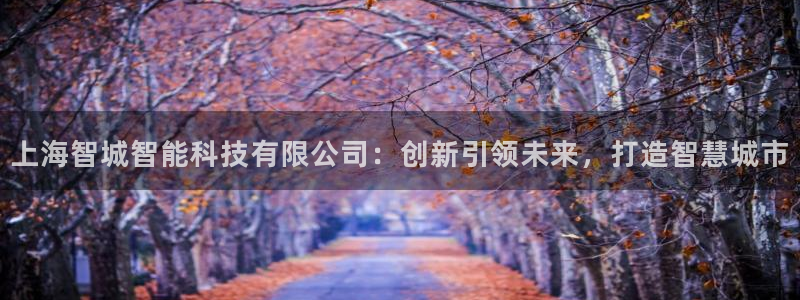 门徒娱乐注册地址在哪里：上海智城智能科技有限公司：创新引领未