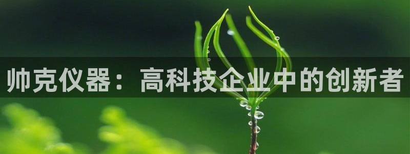 娱乐门徒王梓均简介图片：帅克仪器：高科技企业中的创新者
