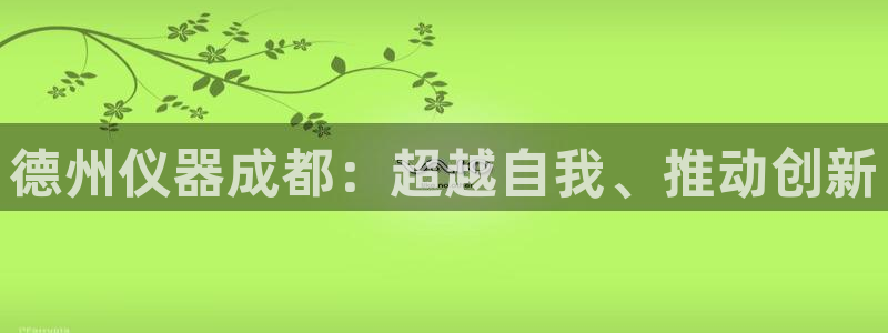 拉菲的门徒娱乐怎么样：德州仪器成都：超越自我、推动创新