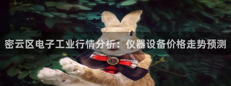 门徒娱乐平台下载：密云区电子工业行情分析：仪器设备价格走势预