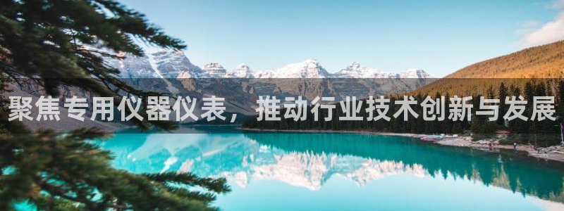 门徒娱乐注册：聚焦专用仪器仪表，推动行业技术创新与发展