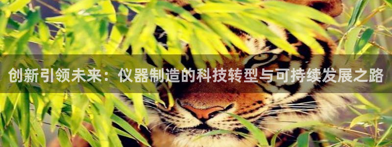 门徒娱乐线路图片大全：创新引领未来：仪器制造的科技转型与可持
