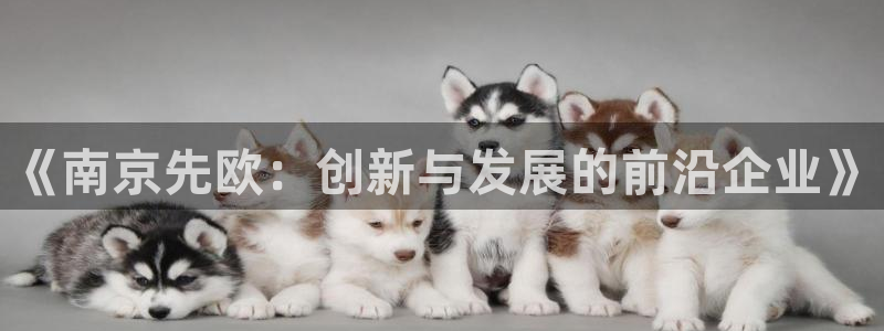 门徒娱乐注册逐风67O77：《南京先欧：创新与发展的前沿企业