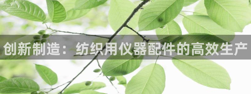 门徒娱乐去看判官333OO：创新制造：纺织用仪器配件的高效生