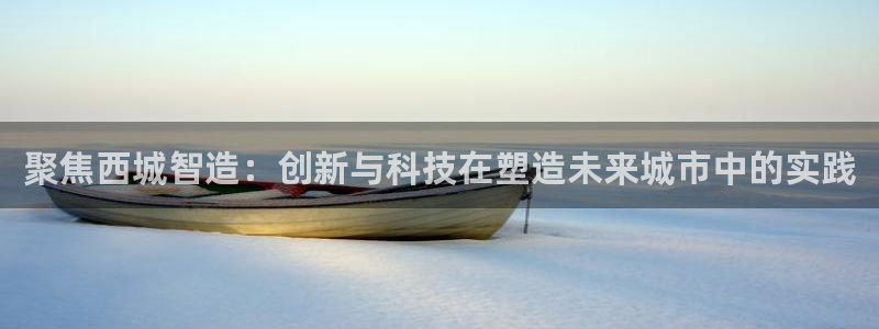 门徒娱乐自动投注：聚焦西城智造：创新与科技在塑造未来城市中的