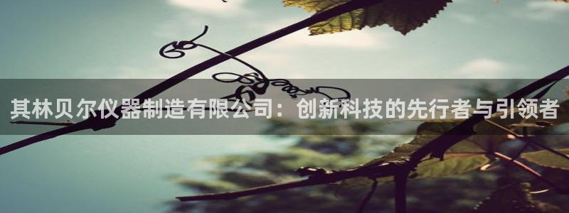 门徒娱乐怎么挂机不掉线：其林贝尔仪器制造有限公司：创新科技的