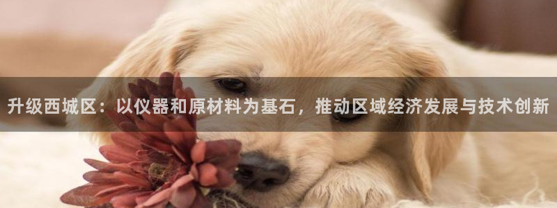 门徒娱乐测速：升级西城区：以仪器和原材料为基石，推动区域经济