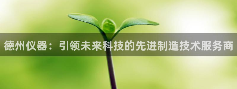 门徒娱乐代理：德州仪器：引领未来科技的先进制造技术服务商