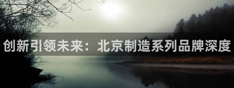 门徒娱乐怎么注册微信号：创新引领未来：北京制造系列品牌深度