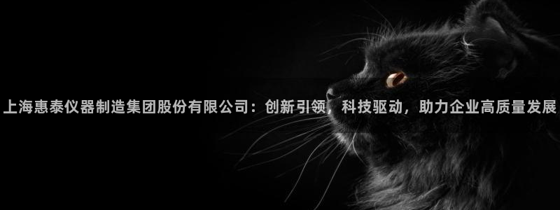 门徒娱乐注册地址查询：上海惠泰仪器制造集团股份有限公司：创新