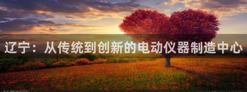 门徒娱乐招商停判官333OO：辽宁：从传统到创新的电动仪器制