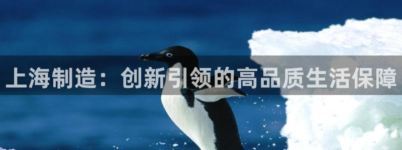 门徒娱乐怎么下载软件：上海制造：创新引领的高品质生活保障