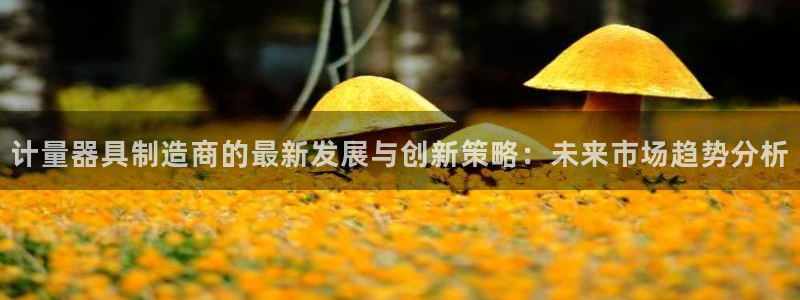 门徒娱乐去看判官333OO：计量器具制造商的最新发展与创新策