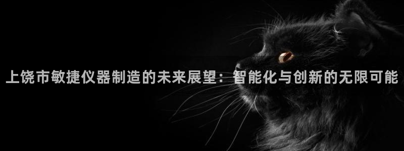 门徒南瓜show娱乐：上饶市敏捷仪器制造的未来展望：智能化与