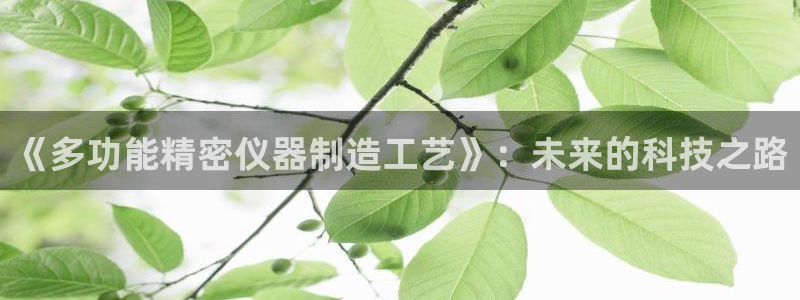门徒娱乐代理怎么做的：《多功能精密仪器制造工艺》：未来的科技