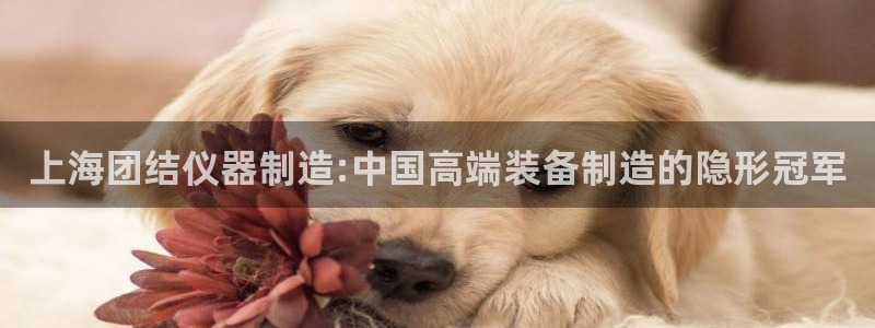 门徒娱乐主管然去判官333OO：上海团结仪器制造:中国高端装