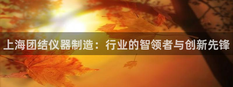 门徒娱乐代理怎么办：上海团结仪器制造：行业的智领者与创新先锋
