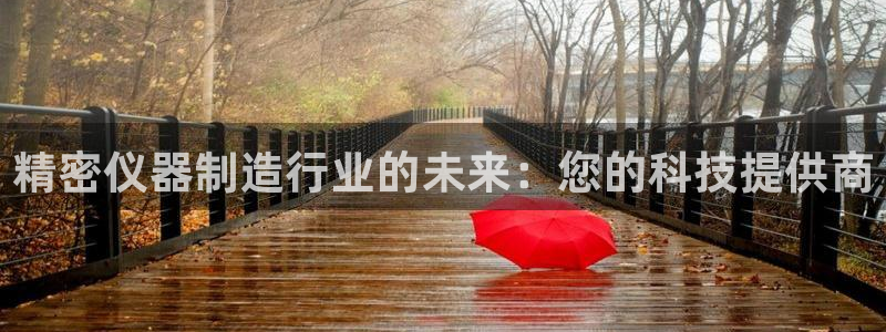 娱乐门徒r：精密仪器制造行业的未来：您的科技提供商