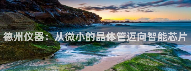 门徒娱乐注册测速：德州仪器：从微小的晶体管迈向智能芯片