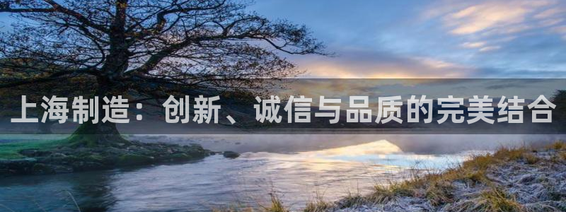 门徒娱乐找qv382223：上海制造：创新、诚信与品质的完美