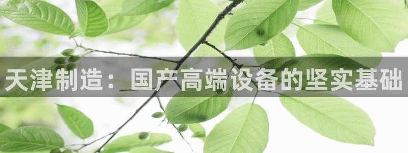 门徒娱乐开户：天津制造：国产高端设备的坚实基础