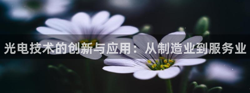 杭州天豪娱乐会所门徒：光电技术的创新与应用：从制造业到服务业