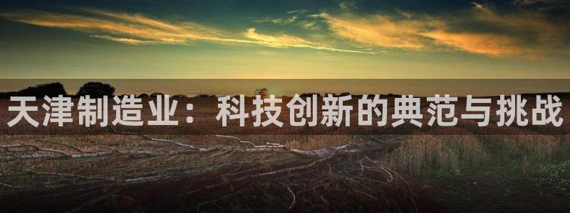 门徒娱乐怎么打不开网页了：天津制造业：科技创新的典范与挑战