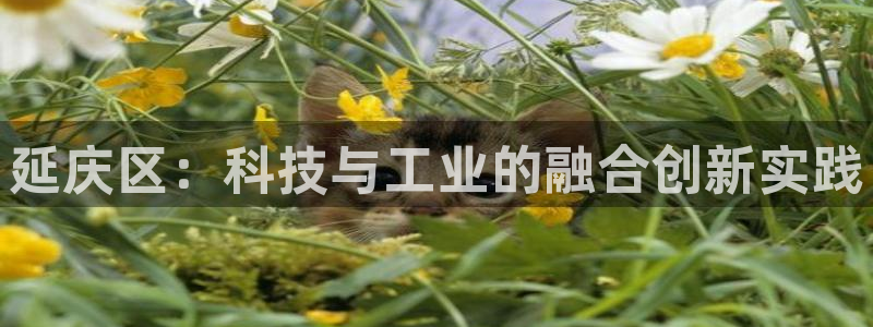 boss娱乐门徒：延庆区：科技与工业的融合创新实践