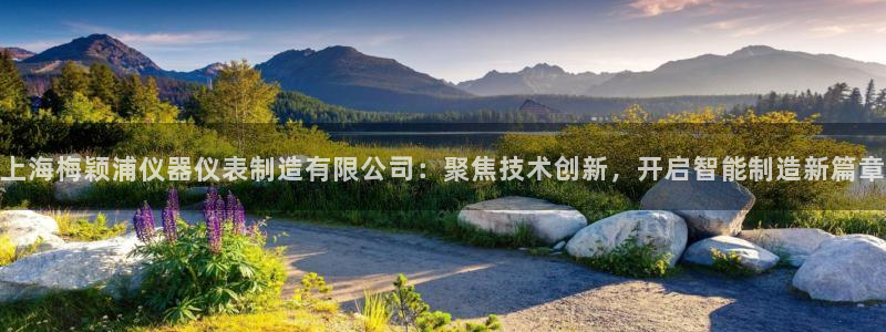 门徒娱乐注册地址查询：上海梅颖浦仪器仪表制造有限公司：聚焦技