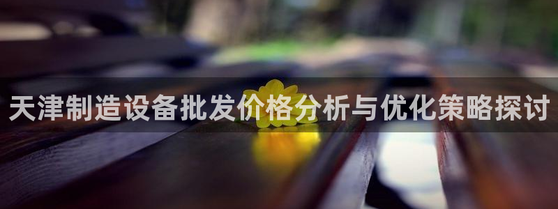门徒娱乐注册地址查询：天津制造设备批发价格分析与优化策略探讨