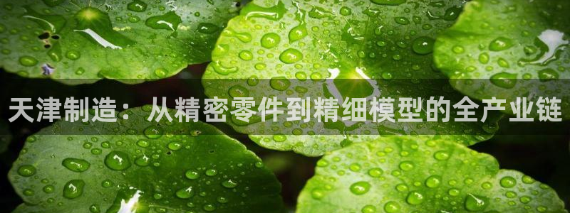 门徒娱乐几67O77：天津制造：从精密零件到精细模型的全产业