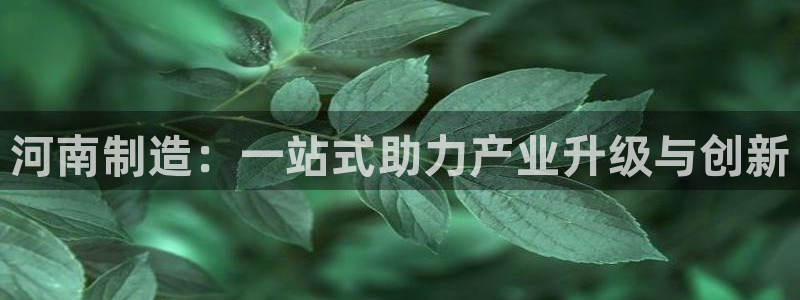 门徒娱乐项目：河南制造：一站式助力产业升级与创新
