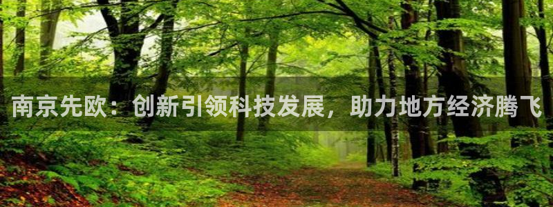 门徒娱乐平台介绍：南京先欧：创新引领科技发展，助力地方经济腾