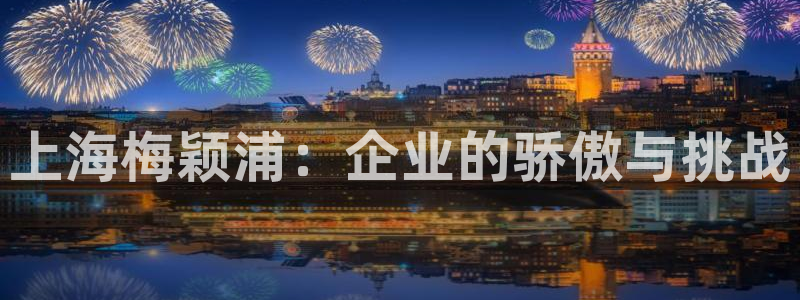 门徒娱乐有5指尖：上海梅颖浦：企业的骄傲与挑战