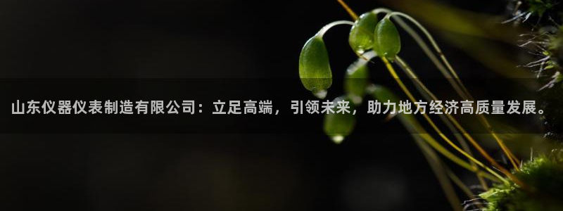 门徒娱乐登录平台网址：山东仪器仪表制造有限公司：立足高端，引
