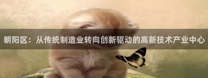 门徒娱乐老板：朝阳区：从传统制造业转向创新驱动的高新技术产业