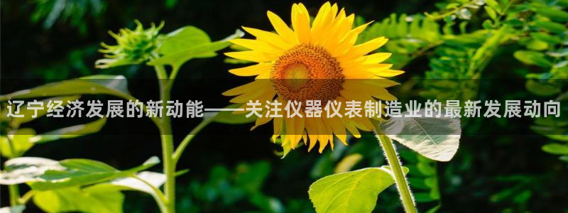 门徒娱乐登陆网站打不开：辽宁经济发展的新动能——关注仪器仪表