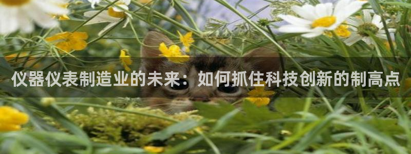门徒娱乐跑路了：仪器仪表制造业的未来：如何抓住科技创新的制高