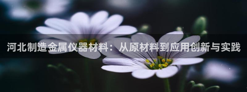 娱乐门徒下载手机版：河北制造金属仪器材料：从原材料到应用创新