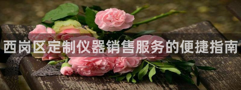门徒娱乐注册官方微信号：西岗区定制仪器销售服务的便捷指南