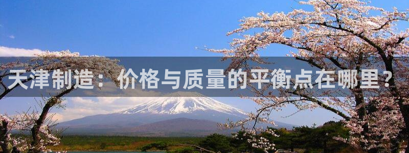门徒娱乐官网下载入口：天津制造：价格与质量的平衡点在哪里？