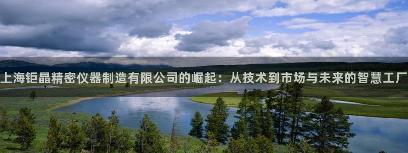 门徒娱乐：上海钜晶精密仪器制造有限公司的崛起：从技术到市场与
