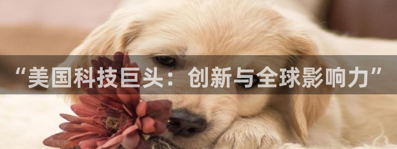 门徒娱乐官方客服电话：“美国科技巨头：创新与全球影响力”