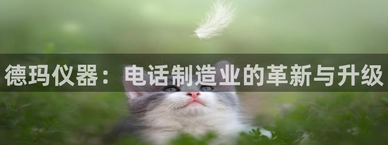 门徒娱乐六七五一38：德玛仪器：电话制造业的革新与升级