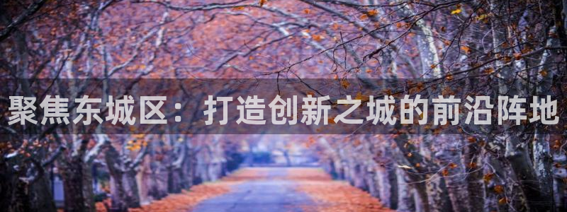 娱乐门徒免费阅读：聚焦东城区：打造创新之城的前沿阵地
