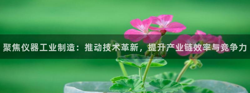 门徒娱乐在线登录官网：聚焦仪器工业制造：推动技术革新，提升产