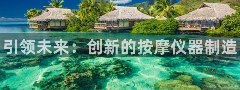 门徒娱乐注册成判官333OO：引领未来：创新的按摩仪器制造