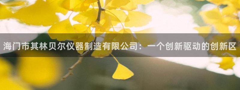 娱乐门徒电影推荐：海门市其林贝尔仪器制造有限公司：一个创新驱