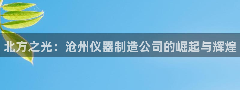 门徒娱乐是不是赌博行为：北方之光：沧州仪器制造公司的崛起与辉