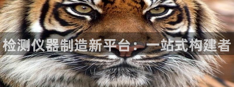 门徒娱乐计划在线观看：检测仪器制造新平台：一站式构建者
